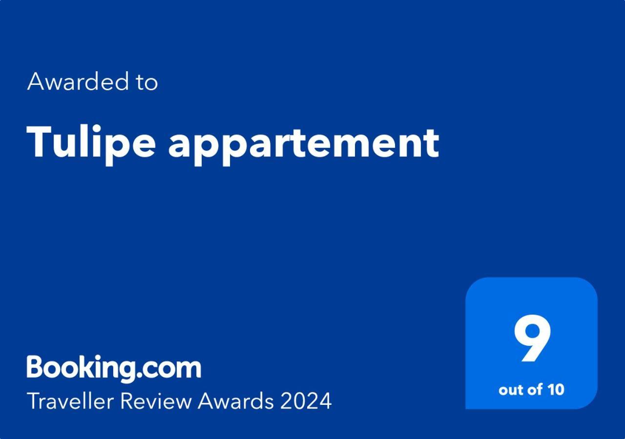 Tulipe Appartement オラン エクステリア 写真